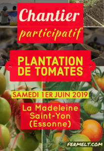 Chantier participatif : repiquage de tomates et basilic @ Ferme de la Madeleine, St-Yon